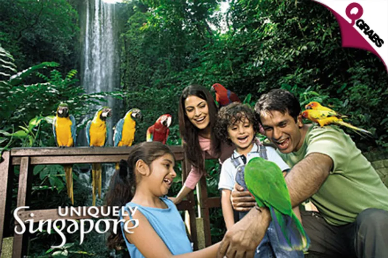 From QR2203 Per Person, Experience a 4 Night Fully Loaded Holiday in Singapore - Includes Night Safari, Jurong Bird Park, Universal Studios and more! (Up to QR7443 Value)